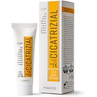 Biodue Cicatrizial Pharcos 25 G