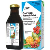 Salus Haus Gmbh & Co Kg Calcium Mineral Drink 250 Ml