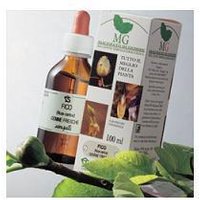 Sangalli Rosa Canina 100ml Mg
