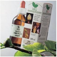Sangalli Sequoia - Gocce di macerato glicerico sequoia per un'azione tonica e ricostituente, 100 ml