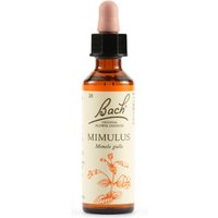 Schwabe Pharma Mimulus Fiore di Bach Originale - Essenza floreale per gli stati di paura, 20 ml