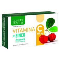 VITAMINA C 500MG+ZI/AC/BA60CPS