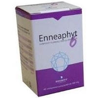 Biogroup Enneaphyt 6 40cpr Orosol 300mg