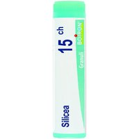 Boiron Silicea 15CH Rimedio Omeopatico in Globuli, 1g