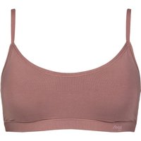 1 Pack FREE Evolve Padded Bra Date Night L XL