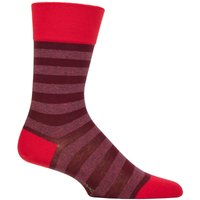 1 Pair Sensitive London Striped Cotton Socks Passion 5.5 8