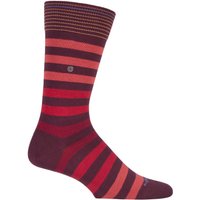 1 Pair Blackpool Multi Striped Cotton Socks 6.5 11