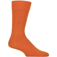 1 Pair Burlington Lord Plain Cotton Socks Carrot 6.5 11