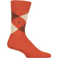 1 Pair King Argyle Cotton Socks Desert 6.5 11