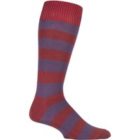 1 Pair Terracotta Raisin Bold Broad Stripe Cotton Socks 7 11