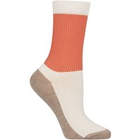 1 Pair Mercerised Cotton Rib Socks Mix One