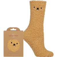1 Pair Teddy Bear Cosy Gift Boxed Lounge Socks Honey 4 8