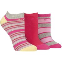3 Pair Plain Stripe Patterned Cotton No Show Socks Cherry Fizz Striped 4 8