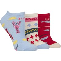 3 Pair Plain Stripe Patterned Cotton No Show Socks Seafarer Patterned 4 8
