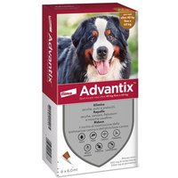 Advantix spot on*6pip 40-60kg
