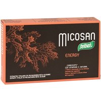 Micosan energy 40 capsule 19 g