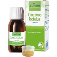 Carpinus betulus macerato glicerico 60 ml int