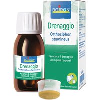 Orthosiphon stamineus estratto idroalcolico 60 ml int