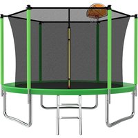 Air Dog 8ft Trampoline with Safety Enclosure Basketball Hoop and Ladder