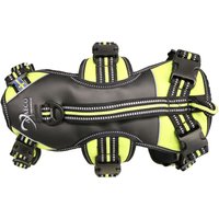 Axaeco Imbracatura per cani 4 Season Broad Peak Giallo Lime Nero XL