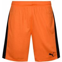 PUMA Pitch Sport Shorts mit Innenslip 702075-08 — Bild 1