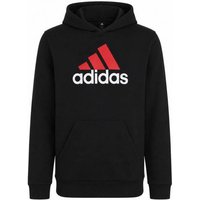 adidas Essentials Two-Colored Big Logo Kinder Hoodie HR6370