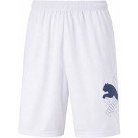 PUMA CAT Bermuda Kinder Shorts 819495-05