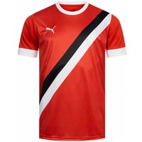 PUMA Herren Trikot 773344-01X