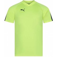 PUMA individualFINAL Herren Trikot 658037-47