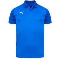 PUMA teamGOAL Sideline Herren Polo-Shirt 656577-02