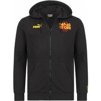 RC Lens PUMA Culture Herren Kapuzen Jacke 777987-09