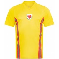 Wales "Retro History" JELEX Herren Trikot