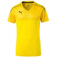 PUMA Accuracy Kinder Trikot 702214-07J