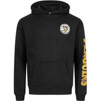 Hollister x NHL Pittsburgh Pinguins Herren Hoodie 322-221-1606-900