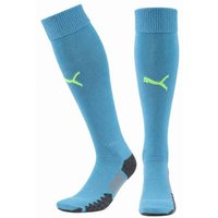 PUMA Match Socks Fußball Stutzen 702210-33