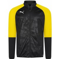 PUMA CUP Training Herren Trainingsjacke 656014-18