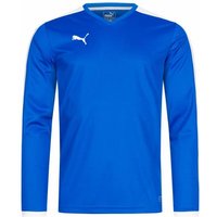 PUMA Pitch Kinder Langarm Trikot 702088-02J