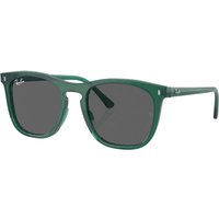 RB2210 Square Sunglasses