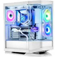 Arctic Pro AMD PBM