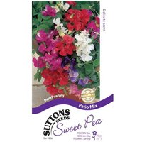 Sweet Pea 'Patio Mix' - Seeds