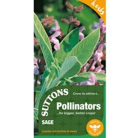Sage - Herb Seeds for Pollinators