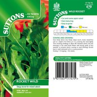 Rocket Wild - Herb Seeds