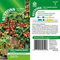 Tomato 'Lizzano' (Determinate) F1 - Seeds