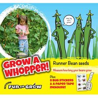 Runner Bean 'Scarlet Emperor' (Grow A Whopper) - Fun to Grow Seeds