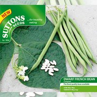 Dwarf French Bean 'Compass' - Seeds