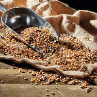 Happy Beaks - All Season All Year Bird Mix