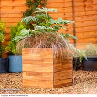 Garden Gear - Acacia Box Planter