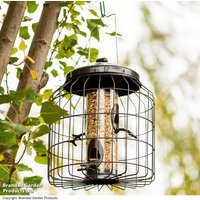 Happy Beaks - Heavy Duty Squirrel Proof Seed Feeder
