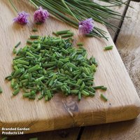 Chives - Herb Seeds