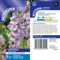 Delphinium 'Misty Lavender' - Seeds
